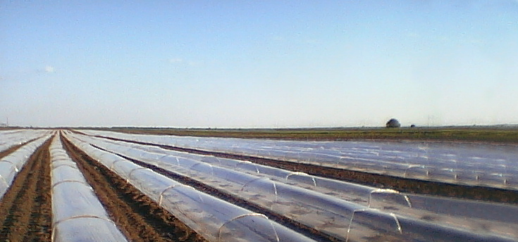 Agricultural film